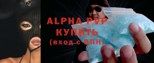 индика Ельня