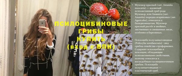 Альфа ПВП Алзамай